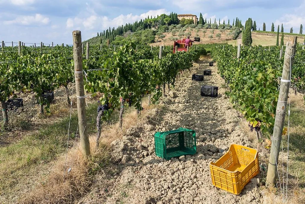 Séjour à la ferme Argiano Dimore Wine Relais Italie